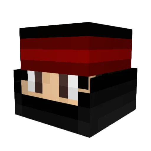 Tegro1 Minecraft avatar head, 3D render