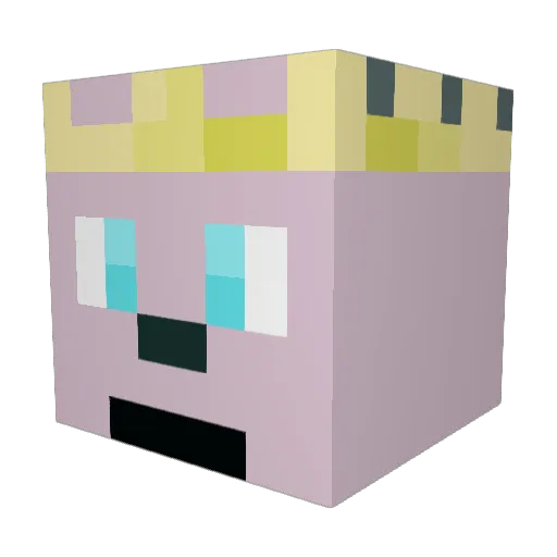 Minecraft-Avatar von TehBeast99: Kopf als 3D-Render