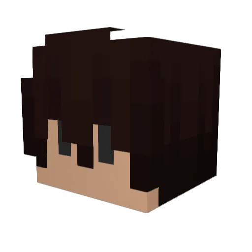 TehBoredBoi Minecraft avatar head, 3D render
