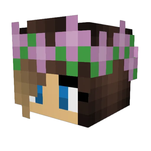 TehCourt Minecraft avatar head, 3D render