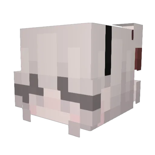 TehCrazyCactus Minecraft avatar head, 3D render