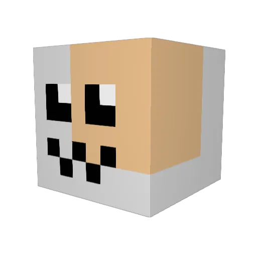 TehEpicGamer Minecraft avatar head, 3D render