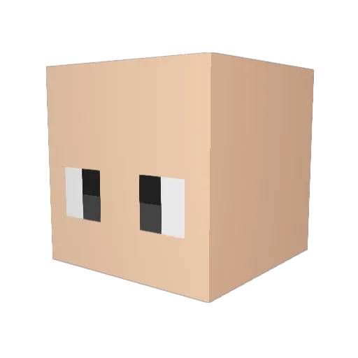 TehFink Minecraft avatar head, 3D render