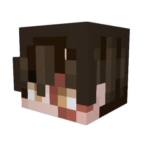 TehJoey Minecraft avatar head, 3D render