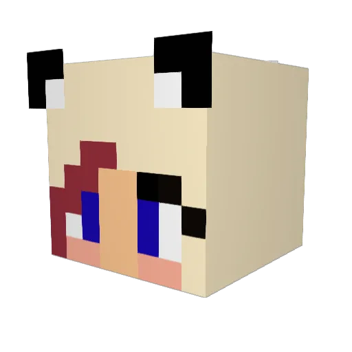TehLegend27__ Minecraft avatar head, 3D render