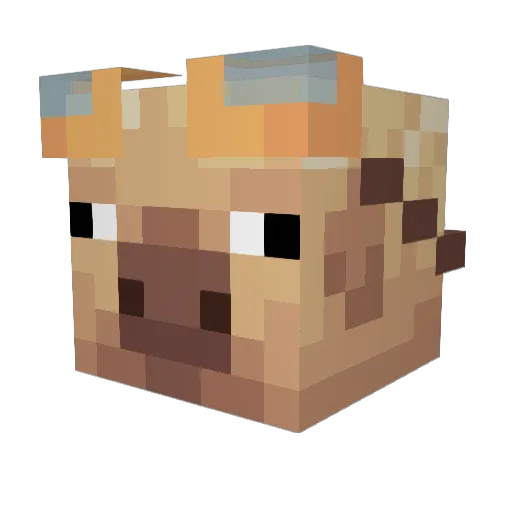 TehLife Minecraft avatar head, 3D render
