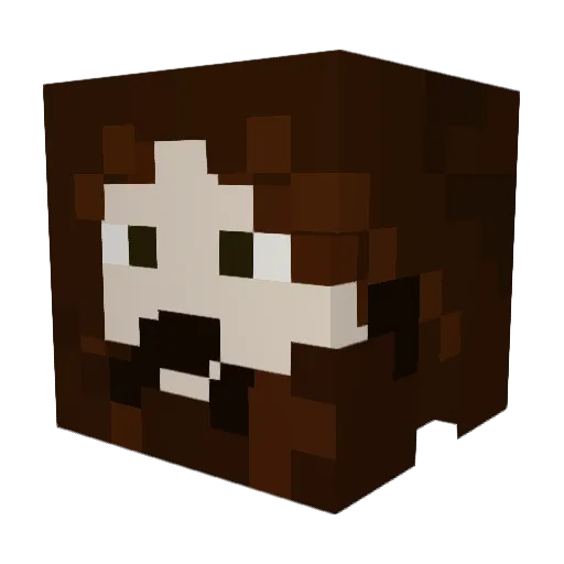 TehMemelord Minecraft avatar head, 3D render
