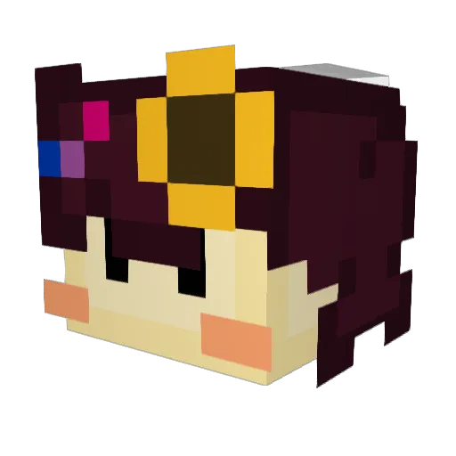 TehMoneyBunni Minecraft avatar head, 3D render