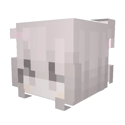 TehN1ppe Minecraft avatar head, 3D render