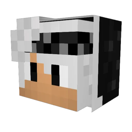 TehPanik Minecraft avatar head, 3D render