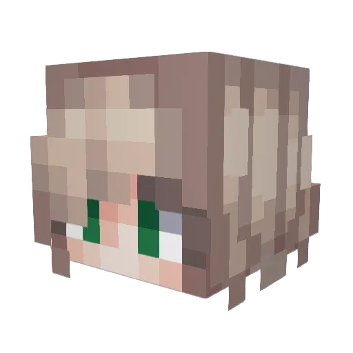 TehPinguen Minecraft avatar head, 3D render
