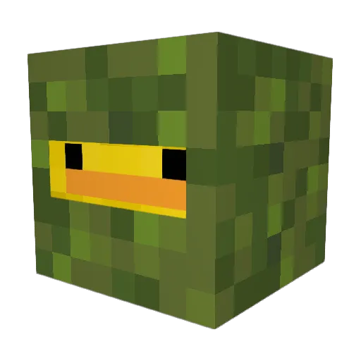 TehPiyoNoob Minecraft avatar head, 3D render