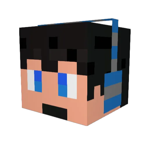TehRealSeanX Minecraft avatar head, 3D render