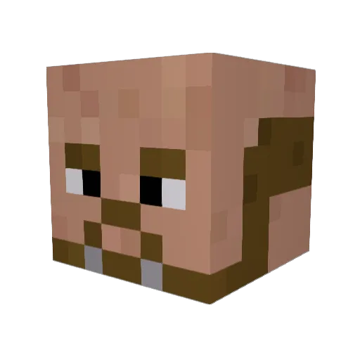 TehStoneMan Minecraft avatar head, 3D render
