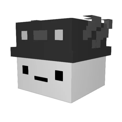 TehWinter Minecraft avatar head, 3D render