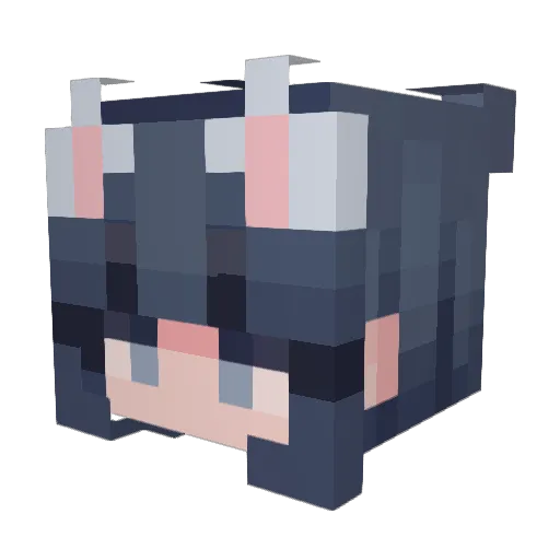 Tehdruid11 Minecraft avatar head, 3D render