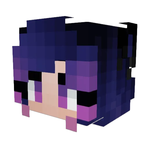 Tehepicninja21 Minecraft avatar head, 3D render