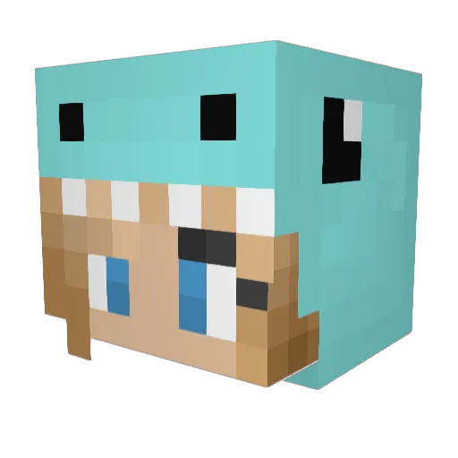 Tehepicpotato11 Minecraft avatar head, 3D render