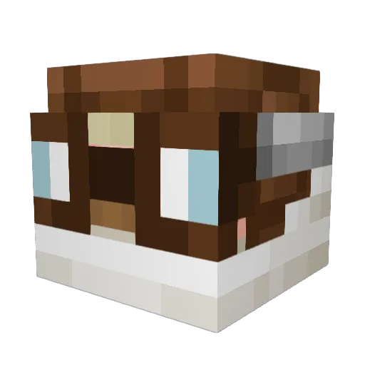 Tehgaps Minecraft avatar head, 3D render
