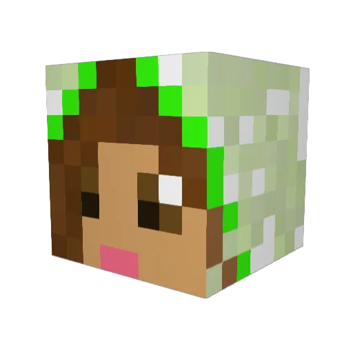 Tehya_ Minecraft avatar head, 3D render
