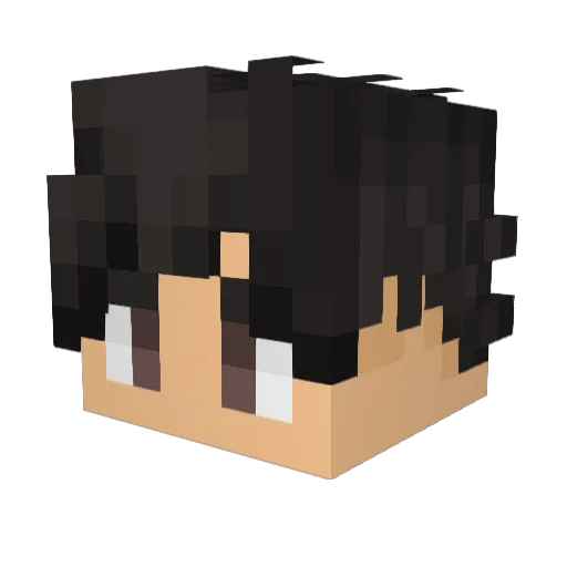 TeiLuxx Minecraft avatar head, 3D render