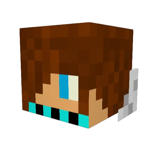 TeiXeir Minecraft avatar head, 3D render