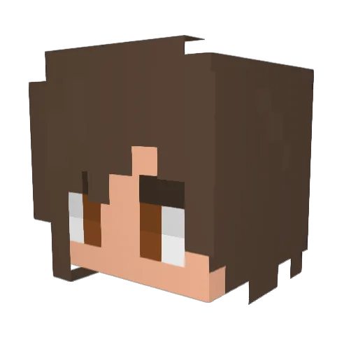 Tei_1155 Minecraft avatar head, 3D render