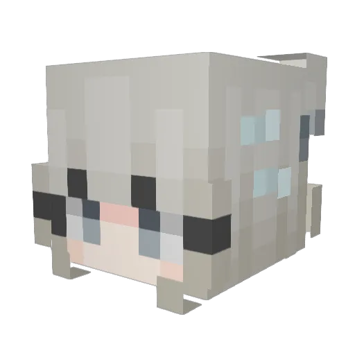 Teiffani Minecraft avatar head, 3D render