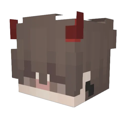 Teiiny Minecraft avatar head, 3D render
