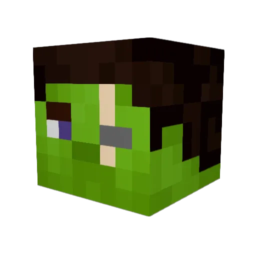 Teil0ss Minecraft avatar head, 3D render