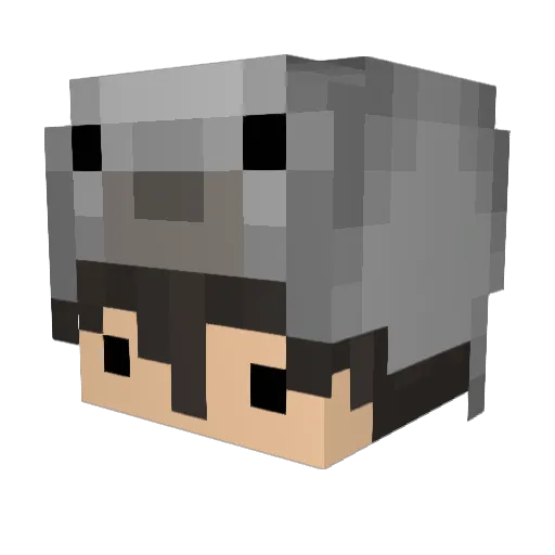 Teilo140404 Minecraft avatar head, 3D render