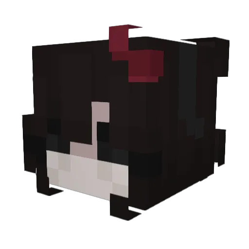 Teilynn Minecraft avatar head, 3D render