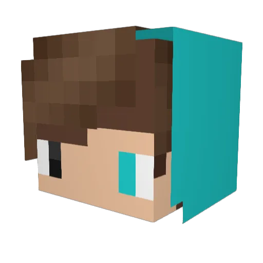 Teiqonn Minecraft avatar head, 3D render