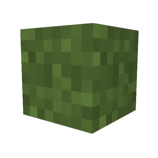 TeirValentine Minecraft avatar head, 3D render