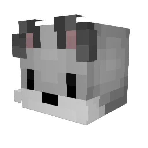 Teitei12 Minecraft avatar head, 3D render