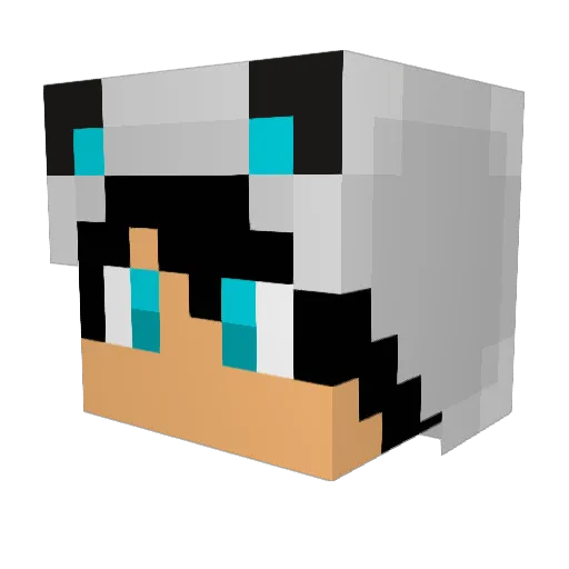 Teitoen Minecraft avatar head, 3D render