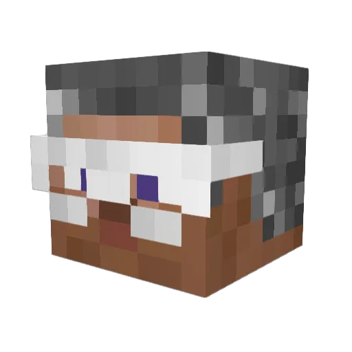 Tejp Minecraft avatar head, 3D render
