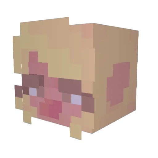 Tek1234 Minecraft avatar head, 3D render