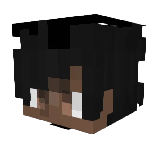 Tek43 Minecraft avatar head, 3D render