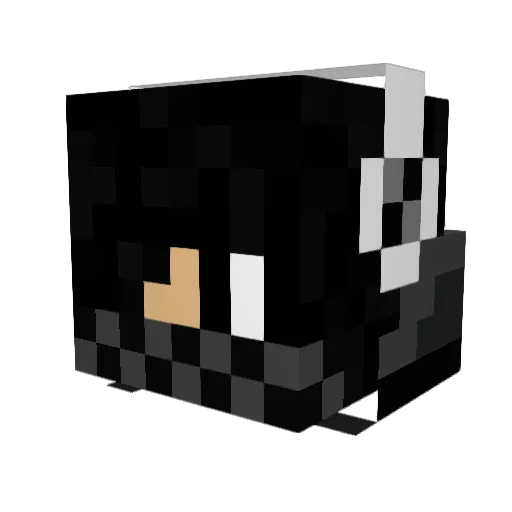 Teka69 Minecraft avatar head, 3D render
