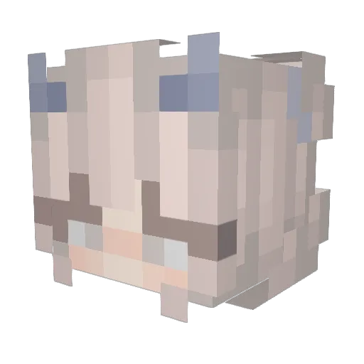Tekesasi_Fox Minecraft avatar head, 3D render