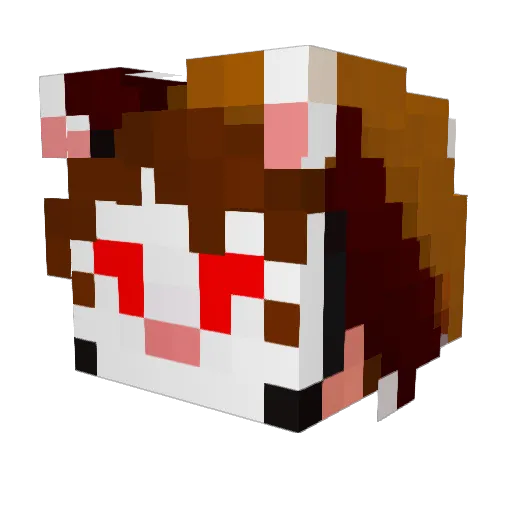 TekiAshard Minecraft avatar head, 3D render