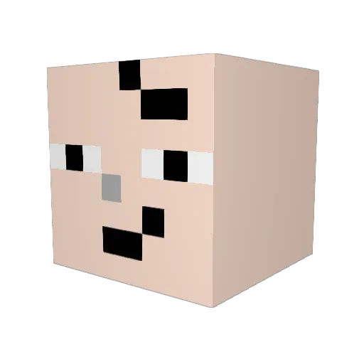 Tekito41 Minecraft avatar head, 3D render