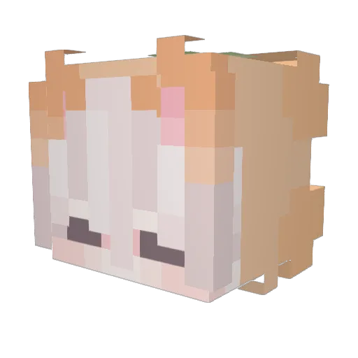 Tekq0iii Minecraft avatar head, 3D render