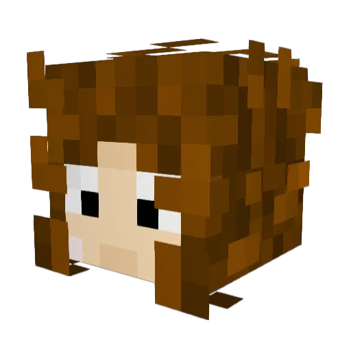 Tekur Minecraft avatar head, 3D render