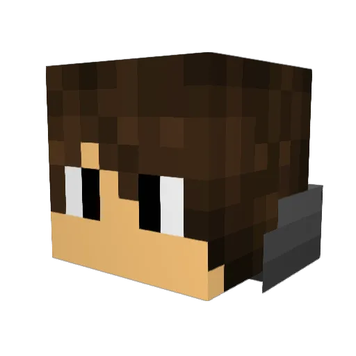 Tel72 Minecraft avatar head, 3D render