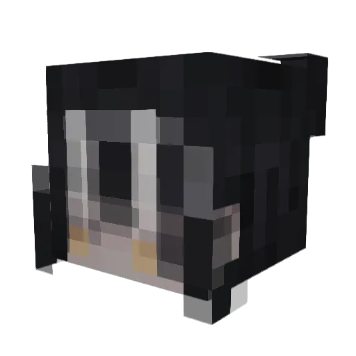 TelantesTV Minecraft avatar head, 3D render