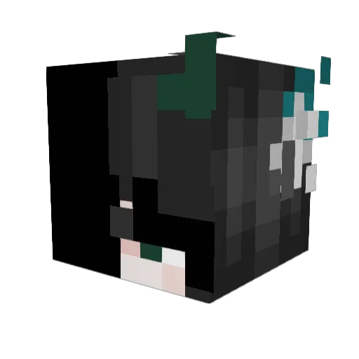 Tele2IsHot Minecraft avatar head, 3D render