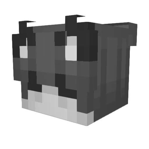 Tele_Wely Minecraft avatar head, 3D render