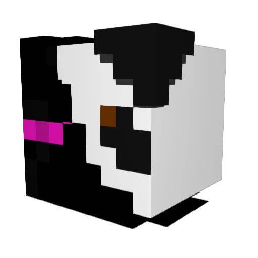 TeleportingPanda Minecraft avatar head, 3D render